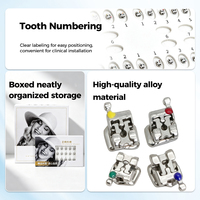 Brackets dentaires pour traitement orthodontique en alliage métallique, conception à fente lisse, emballés en plateau, positionnement numéroté, usage clinique