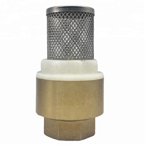 แกนทองเหลืองพร้อมสปริงแนวตั้งแบบไม่กลับด้านพร้อมตาข่ายสแตนเลส - Product Image 1