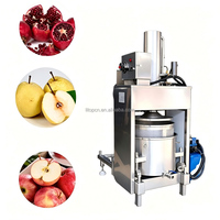 Hydraulische fruitkoude persmachine voor commercieel gebruik, avocado's en groenten koude pers-extractor, persmachines, persmachine