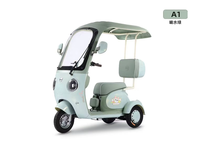 Venta Directa de Fábrica, Triciclos Eléctricos de Acero Personalizables, Modernos y Nuevos, Motor sin Escobillas de 60V, Autonomía Superior a 60 km, para Uso Doméstico