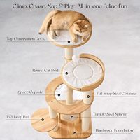 Arbre à chat moderne en bois massif écologique, 49 pouces de haut, 4 niveaux, poteaux à gratter en sisal, léger (1,5 kg) pour chats de grande taille, usage intérieur