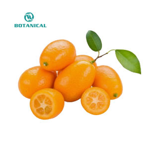 B.C.I FORNECIMENTO Solúvel Em Água Instantânea Natural Seco Verde <span class=keywords><strong>Kumquat</strong></span> Frutas Em Pó - Product Image 2