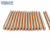 Pipa Panas Tembaga Sintered 10x250mm Efisiensi Tinggi untuk Sistem Pendingin CPU GPU dan Manajemen Termal Industri