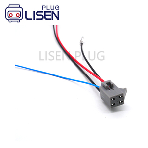 Harness Kabel Konektor Otomotif 2 Pin Kustom Dengan Terminal Plug untuk Pompa Bahan Bakar - Product Image 2