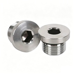 Tapón hexagonal hueco de acero inoxidable con brida hexagonal interior y tornillos de vaso hexagonal - Product Image 2
