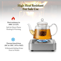 Théière en verre 600 ml pour spa, café, bien-être, service de thé en vrac, infuseur résistant à la chaleur et au froid