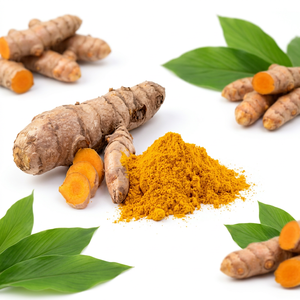 Poudre de Racine de Curcuma Pure et Naturelle de Haute Qualité, Exportateur en Gros en Provenance d'Inde par Gingerly Naturals - Product Image 6