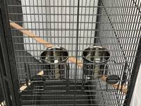 Cage à oiseaux contemporaine de luxe en fer forgé, grande volière en métal et acier pour perroquets, canaris, cages d'élevage pour oiseaux, utilisation intérieure et extérieure