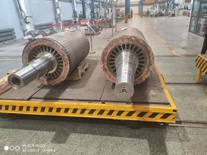 Anjiexiaolei Motor de tracción de inducción CC/CA personalizado, rotor de jaula de ardilla/rotor bobinado, material de carbono, eje de 11 mm, 2-6 polos - Product Image 2
