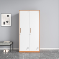 Armoires de rangement verticales en acier de haute qualité, armoires métalliques verrouillables pour dortoirs scolaires, meubles métalliques de luxe pour salle de sport