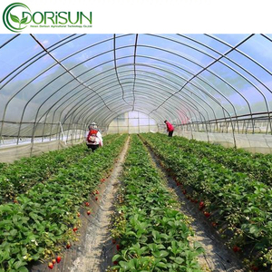 Nông Nghiệp Nhà kính và trang trại đường hầm nhà kính nhựa phim trồng trọt đổ bộ xương cà chua nhà kính để bán - Product Image 6