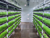 Système hydroponique intelligent et écologique Seedafarm pour la production de fourrage, avec équipement de contrôle PLC, conteneur d'expédition, serre