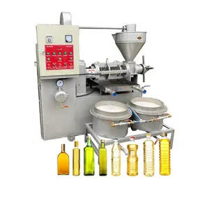 Presse à huile haute efficacité pour usage domestique Machine d'extraction d'huile pressée à froid pour cacahuète de soja et plus