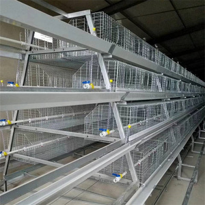 เล้าไก่แบตเตอรี่อัตโนมัติสำหรับไก่ไข่อุปกรณ์ฟาร์มสัตว์ปีกสำหรับไนจีเรียเคนยาหนูตะเภาฟาร์มสภาพใหม่ - Product Image 5