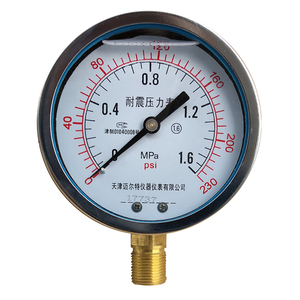 Manómetro Resistente a Impactos YTN 100, 0-1.6 MPa, Radial, para Presión de Aceite Hidráulico y Aire - Product Image 1