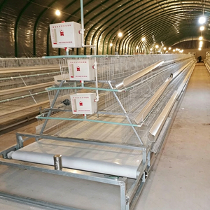 Jaula de gallinas ponedoras tipo A galvanizada para 160 aves, equipo para granjas avícolas comerciales africanas - Product Image 3