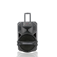 Nouveau produit 15 pouces bluetooth chariot portable BT Speaker Wireless Sound System avec usb