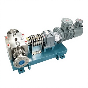 Bomba Dosificadora de Asfalto con Calefacción por Chaqueta, 320cc/rev, Conexión de Brida, Aislamiento <span class=keywords><strong>Térmico</strong></span> para Transferencia de Betún Caliente de Alta Viscosidad - Product Image 5