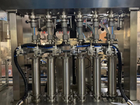 Bouteilles d'eau en PET complet, 10 pièces, pour minéraux purs, équipement de remplissage, machine de production, ligne de production pour plantes