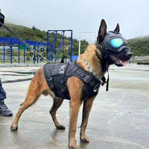 Gafas <span class=keywords><strong>de</strong></span> Protección para Perros, Antiexplosión, para Actividades al Aire Libre, Trabajo, Incendios, Entrenamiento <span class=keywords><strong>de</strong></span> Mascotas, Comportamiento - Product Image 3