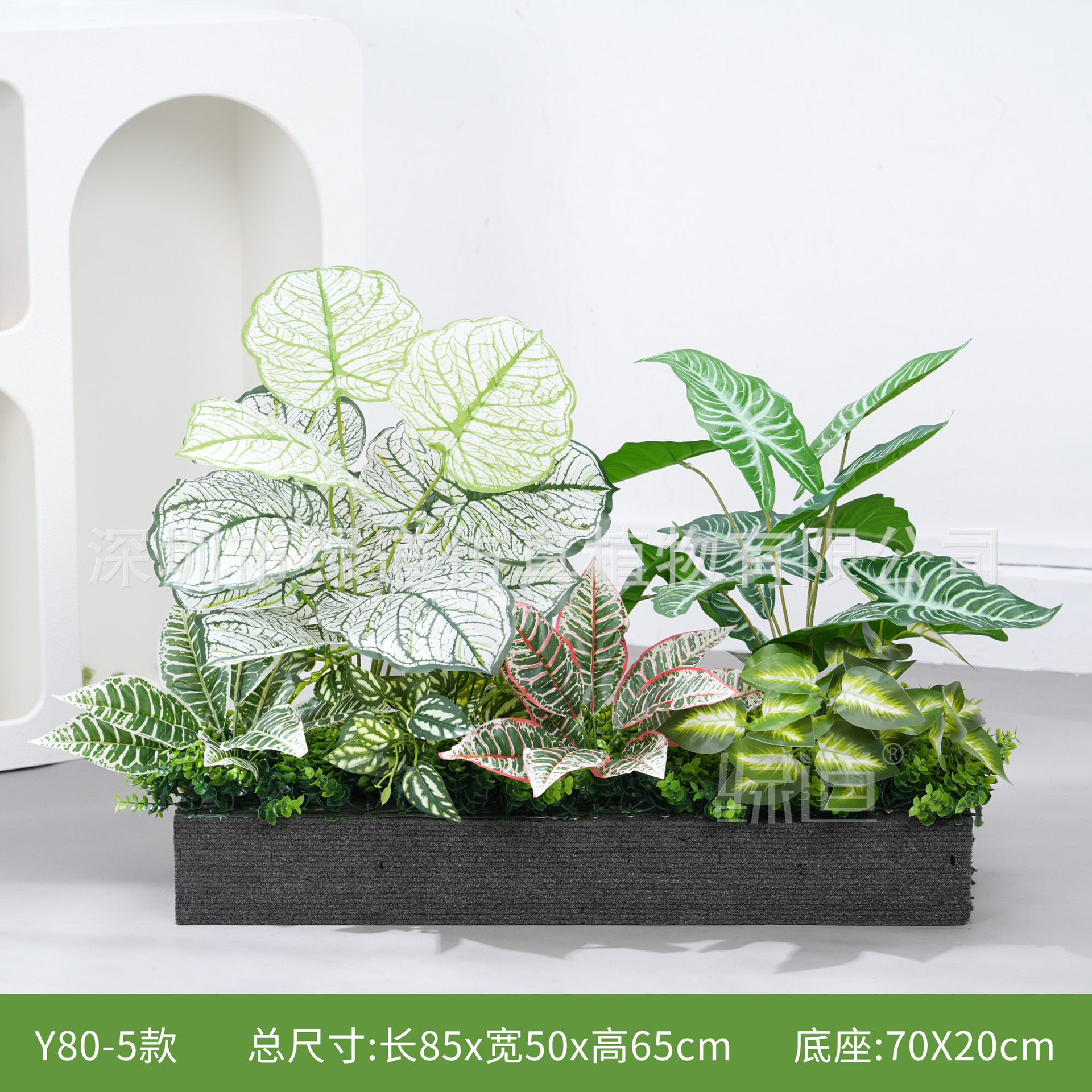 hc-Y80-5 convient aux jardinières de 80 cm