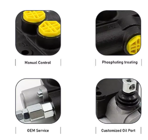 Huamao P80-G12 Soluciones Hidráulicas Personalizadas Manuales, Únete a Nosotros para la Fabricación de Válvulas, 1 Año de Garantía, Origen Shandong - Product Image 6