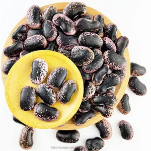 Penjualan laris kacang bintik hitam liangtian dengan kualitas tinggi kacang pinto kering kinerja biaya tinggi dengan harga terbaik