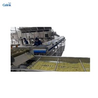 Volledig automatische industriële snelvrieslijn voor het produceren van frites met complete verwerkingsapparatuur
