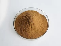 Venta caliente Magnolia Bark Extract Powder 50%-98% Magnolol