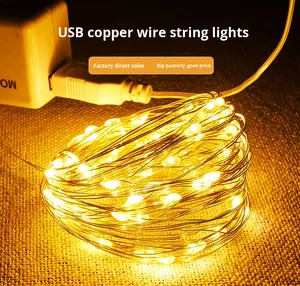DC 5V USB Copper <strong>Wire</strong> <strong>LED</strong> String <strong>Light</strong> IP44 Fairy Garland Christmas Festival Decorative Dimmable Warm White Lighting - Product Image 6
