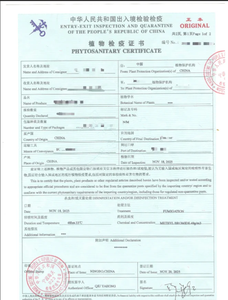 Houten acacia keukengerei kommen - CNC-gefreesd & geboord, milieuvriendelijk, hoge vraag, groothandel kookkommen - Product Image 6