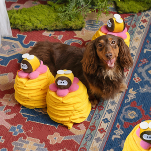 Moderno simpatico animale frutta giocattolo interattivo per cani tratta Puzzle lento alimentatore tappetino che nasconde cibo Beep giocattolo - Product Image 4