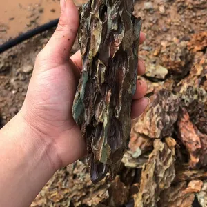 물고기 탱크 aquascape를 위한 뜰을 만들기를 위한 없음 산과 산 세척된 훈장 Seiryu 돌과 용 바위