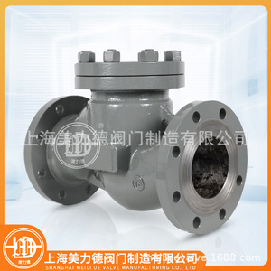 Válvula de Retención de Elevación con Brida de Acero Fundido H41H-16C DN100 WCB para Agua a Temperatura Normal - Product Image 3