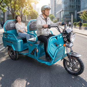 <span class=keywords><strong>Tricycle</strong></span> électrique FGQ à vendre, <span class=keywords><strong>tricycle</strong></span> à double usage à carrosserie ouverte <span class=keywords><strong>pour</strong></span> <span class=keywords><strong>personnes</strong></span> <span class=keywords><strong>handicapées</strong></span> avec moteur de 900W et vitesse de 35 km/h - Product Image 1