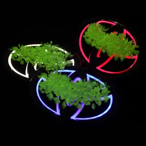 Beleuchtete LED-Licht Frontgrill Heckgitter Auto Abzeichen Auto Embleme Logo