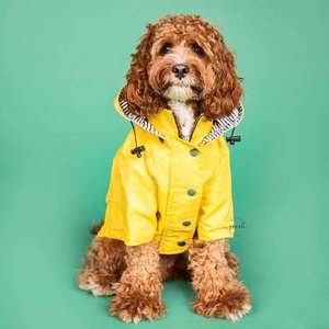 Sudaderas Personalizadas <span class=keywords><strong>de</strong></span> Lujo para Mascotas, Chaqueta <span class=keywords><strong>de</strong></span> Diseño en Poliéster para <span class=keywords><strong>Perros</strong></span> <span class=keywords><strong>Pequeños</strong></span>, Medianos y Grandes, para Invierno y Primavera - Product Image 3
