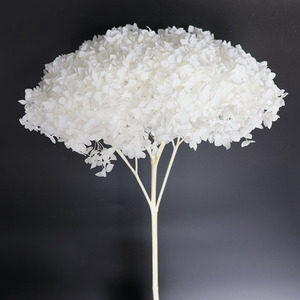 Hecho a mano europeo DIY Material conservado flor fresca pompón espárrago helecho <span class=keywords><strong>Ming</strong></span> helecho PARA EL Día de la madre y regalos del Día de San Valentín - Product Image 3
