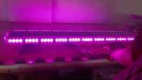 Nouvelle barre lumineuse LED violette de 48 pouces pour camion/remorque, DC12-24V, 22 groupes, 1,2 m, étanche, en aluminium, 26 fonctions