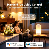 Lampe d'ambiance LED tactile colorée Tuya Wifi pour contrôle via Alexa Google App et veilleuse créative pour chambre à coucher