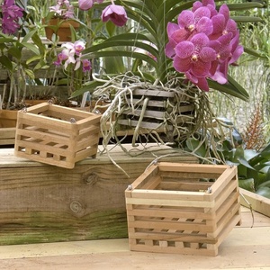 Panier <span class=keywords><strong>en</strong></span> bois fabriqué à la main plantation de bois planteur lit divisible jardin pour fleurs légumes herbes arrière-cour artisanat <span class=keywords><strong>en</strong></span> bois - Product Image 6