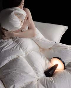 Selimut Musim Dingin Berkualitas Tinggi Isi 95% Bulu Angsa Impor Kelas A Ganda 140, Selimut Bulu Angsa Lembut - Product Image 3