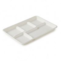 Plateau alimentaire multi-compartiments, assiette biodégradable, plateau scolaire jetable à 6 compartiments, pack combo Thali