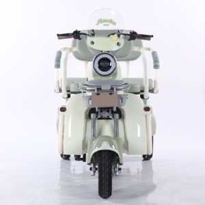 Triciclo Eléctrico con Motor sin Escobillas Abierto para 3 Pasajeros, Moto de Cross de 3 Ruedas para Adultos - Product Image 5