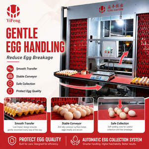 Nuevo Sistema Automático <span class=keywords><strong>de</strong></span> Jaulas Tipo H Yifeng para Gallinas Ponedoras, para 10000, 20000, 50000 Aves, con Bebedero <span class=keywords><strong>de</strong></span> Niple, Alimentación y Recolección <span class=keywords><strong>de</strong></span> <span class=keywords><strong>Huevos</strong></span>, Bajo Costo - Product Image 6