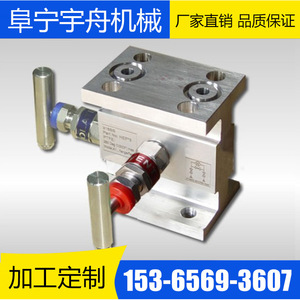 Colector de Dos Válvulas de Acero Inoxidable con Rosca Interna y Externa Integrada para Uso en Medidores de Amoníaco Tipo Corte en Centrales Eléctricas OEM - Product Image 3