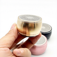 Mini-enceinte sans fil à moule exclusif d'usine, subwoofer extérieur avec microphone intégré et fonction d'appel, vente en gros