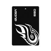 GUDGA SSD interne de bureau 2,5 pouces SATA III 128 Go/256 Go/512 Go avec mémoire flash 3D NAND et garantie de 5 ans