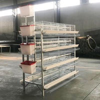 Cage semi-automatique de type H pour poules pondeuses, capacité 10000