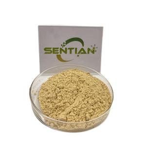 Bởi <span class=keywords><strong>UV</strong></span> 20% ginsenosides đen Hàn Quốc Nhân Sâm thân cây/leavf chiết xuất ginsenosides bột - Product Image 3